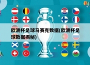 欧洲杯足球马赛克数据(欧洲杯足球数据揭秘)
