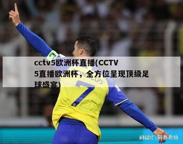 cctv5欧洲杯直播(CCTV5直播欧洲杯，全方位呈现顶级足球盛宴)